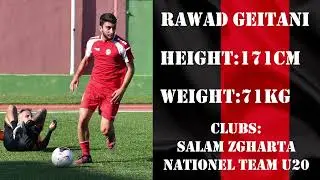 Rawad Gitani CV
