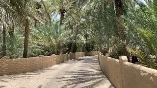 Beautiful Al Ain Oasis