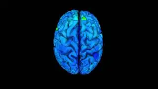 Wiring the human brain with Slicing fiber tractography (full procedure)