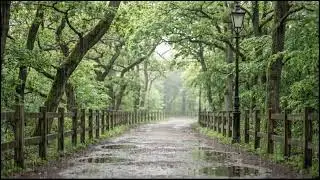 Rain Drizzling Over Green Leaves | Tranquil Forest Ambience for Sleep