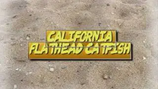 Intro to California Flatheads part 1