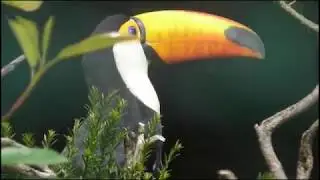 Besuch im WELTVOGELPARK WALSRODE (Juli 2018)