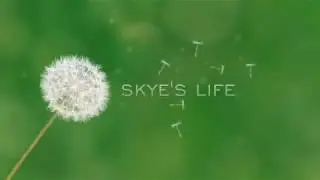 Skye's life-trailer