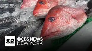 Many Italian-Americans getting ready for the Feast of the Seven Fishes on Christmas Eve