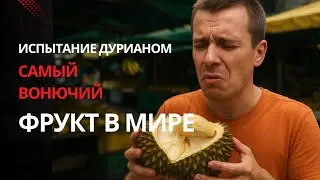 Испытание дурианом. Самый вонючий фрукт в мире.