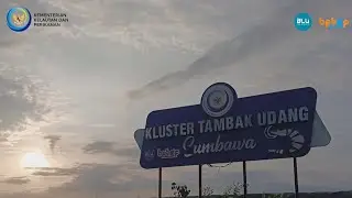 Kluster Tambak Udang Vaname Sumbawa || BPBAP Situbondo