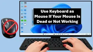 Use Keyboard as Mouse If Your Mouse Is Dead or Not Working