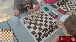 Attack warning! | Dice chess!