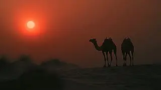 Desert Oud - Arabian Music - Meditation in Desert, Arabian Oud & Arabian Oud