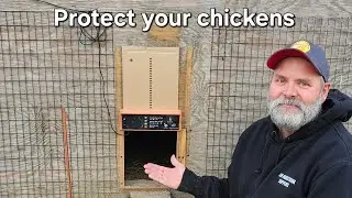 Solar chicken coop door review. What to look for.