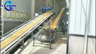 Corn Flake Maker/Corn Flattening Production Line