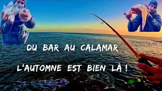 Du bar et du calamar, l&rsquo;automne est bien l&agrave; 🍃🌊