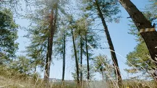 Refining fpv skills and flow &bull; FPV Freestyle
