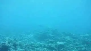 DSCF0354