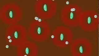 Compost Heat Recovery - Process Animation