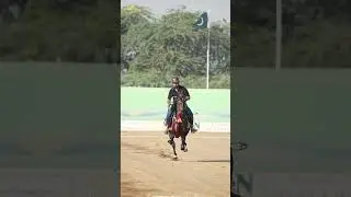 6th Sultan International Tent Pegging Tournament || Individual Lance & Pegg || Beautiful Horses