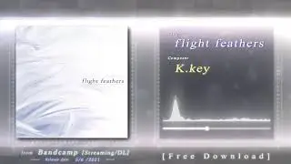 flight feathers / K.key