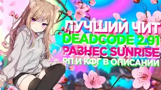 САМЫЙ МОЩНЫЙ СОФТ НА SUNRISE, REALLYWORLD, NEXUSGRIEF | DEADCODE 2.91 | ПОЛНЫХ ОБХОД ВСЕХ СЕРВЕРОВ