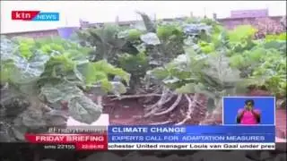 Effects of Climate Change are a threat to Kenya&rsquo;s food security, warns agricultural experts