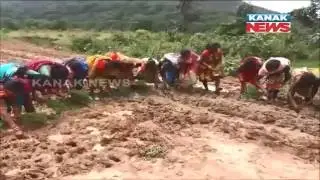 Malkangiri Transport Issue