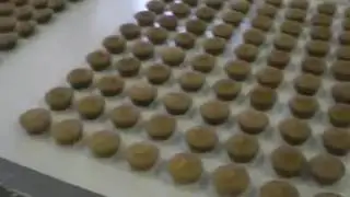 Full Automatic Custard Cake Production Line--0086-13524823568
