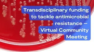Transdisciplinary funding to tackle antimicrobial resistance – Virtual Community Meeting