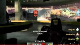 iw4mp.dat-20100927-1046011.avi