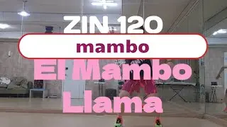 El Mambo Llama | 1on1 | ZIN 120 | Mambo | Arther hanlon | Joy's Zumba class