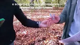 Scienze Forestali e Ambientali a UNITUS