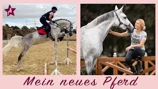 Mein NEUES Pferd I Probereiten und Pferdekauf I Nachwuchs f&uuml;rs Team Ponyliebe
