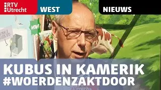 Kubus in Kamerik moet inwoners bewust maken van bodemdaling  [RTV Utrecht]