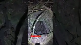 Found A Secret Bunker Hidden Underground In The Forest #shorts #explore #bunker #secret #military