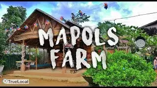 Mapols Farm: Iloilo Attractions | Truelocal Philippines