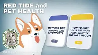 Red Tide and Pet Health