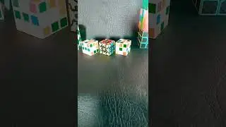 #monkey