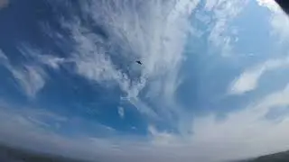 Hawk attacking Drone Deep Creek 2025