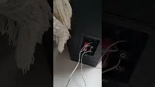 Tannoy 611 Dual Concentric Black Ash Speakers
