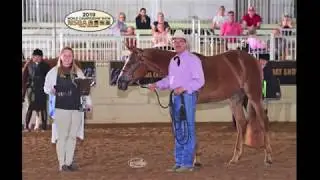 WILLY SWEET DREAMS & ALAN WOOD - 2019 NSBA WORLD CHAMPIONSHIP SHOW