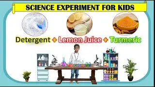 Science Experiment - Detergent + Lemon Juice + Turmeric || Kids Experiment || Kids Joyful Learning