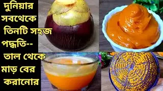 মাত্র ১মিনিটে তালের রস বের করার গোপন পদ্ধতি সঙ্গে সংরক্ষণ||Taler Juice||Plam fruit juice fritter way