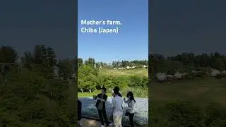 Mother farm #japan #chiba #scenery #maaratheme #yaarazhaippadhu #kanto #spring
