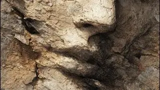 WE ARE STILL HUMAN &ndash; A Song for Humanity Beyond Ideology | WORLD HEALING
