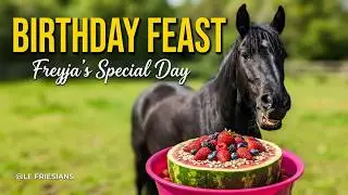 🎉 Freyja’s Birthday Breakfast Feast with the Herd 🐴🍉