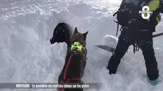 Le quotidien d'un ma&icirc;tre chien