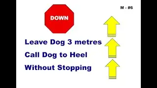 ANKC 2026 Rally Sign M6: Down &ndash; Leave Dog - Call To Heel (Master)