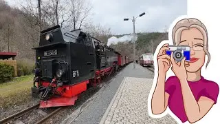 ein besonderer Bahnhof: die Eisfelder Talm&uuml;hle  -  auf schmaler Spur im Harz #15