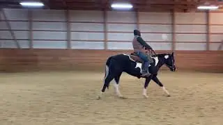 SOLD Cowgirls Fancy Me 2023 Gelding