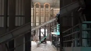 Biomass pellet plant vlog #biomassboiler #vlog 