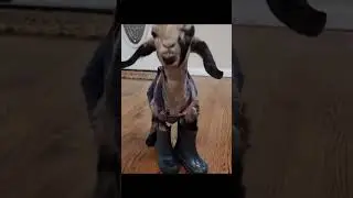 goat officer funny shorts | goats doing funny things #shortsfeedviral  #goatfails  #goats