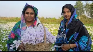 লোকাল মাছ খেতে অনেক মজা🌱| Village family vlogs | @DoyelAgro
